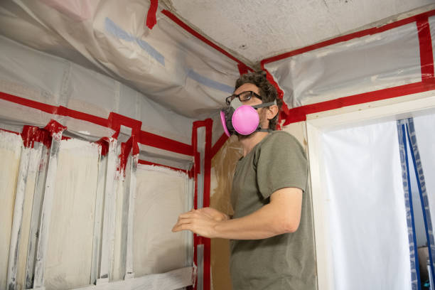 Best Asbestos and Lead Testing During Mold Inspection  in Mapleton, MN