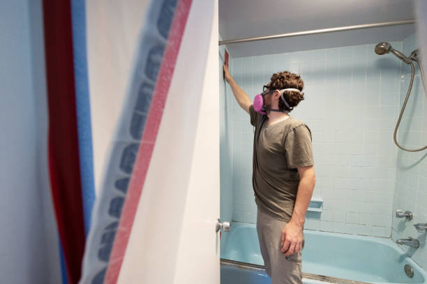 Best Attic Mold Removal  in Mapleton, MN