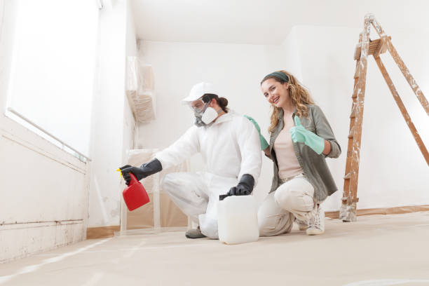 Mold Remediation for Rental Properties in Mapleton, MN